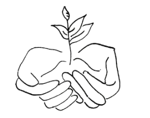 Shai Shinar Psychotherapy